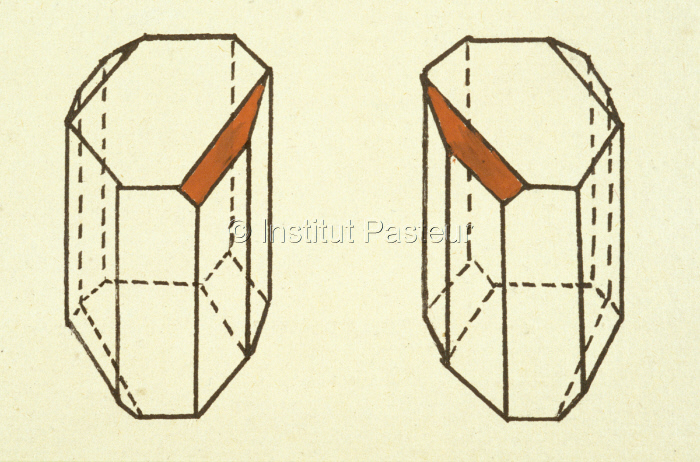 Schéma des cristaux de paratartrate