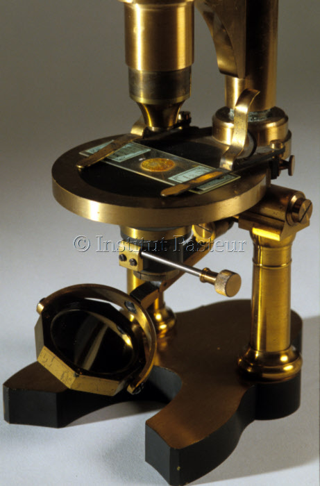 Détail microscope Nachet en laiton de Pasteur