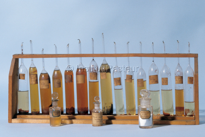Echantillons de vins analysés par Louis Pasteur 