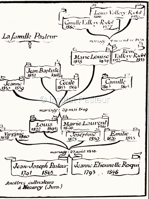Arbre généalogique de la famille de Louis Pasteur