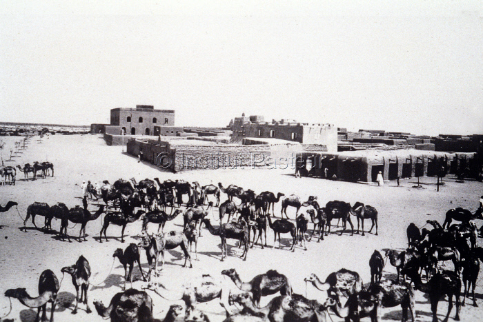 Mission Bouet et Roubaud sur la maladie du sommeil à Tombouctou (Mali) vers 1910