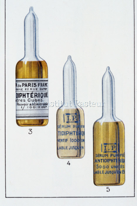 3 ampoules de sérum 
antidiphtérique