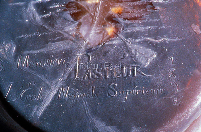 Dédicace, détail du "Vase Pasteur" réalisé par Emile Gallé