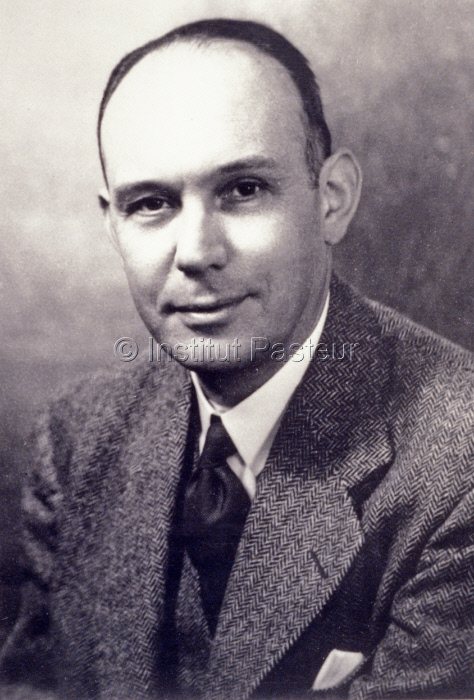 Pierre Lépine (1901-1989) vers 1940/1945
