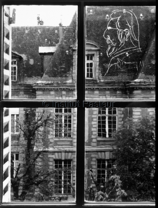 Caricature d'Elie Metchnikoff gravée sur une vitre 