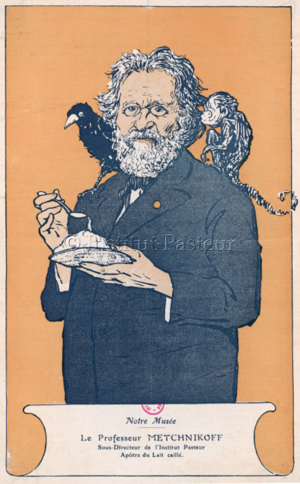 Caricature d'Elie Metchnikoff (1845-1916) illustrant ses travaux sur la syphilis, la fermentation et la vieillesse.