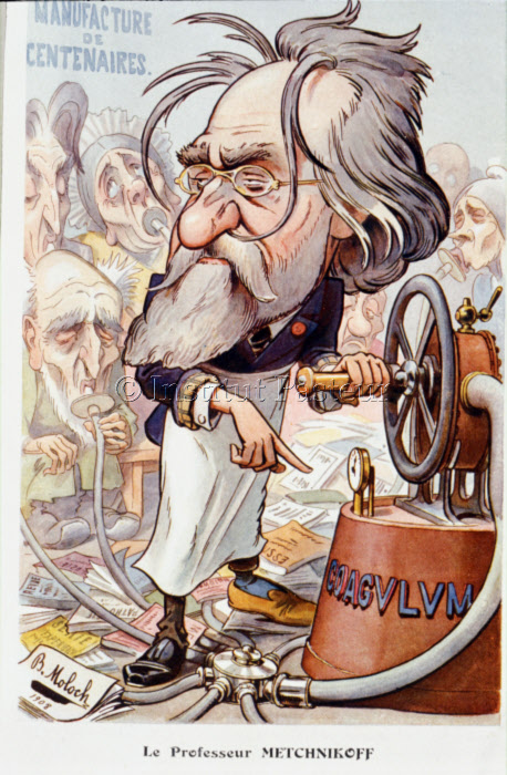Caricature d'Elie Metchnikoff par Moloch, 1908
