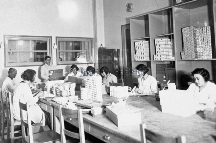 Conditionnement du BCG à l'Institut Pasteur vers 1935