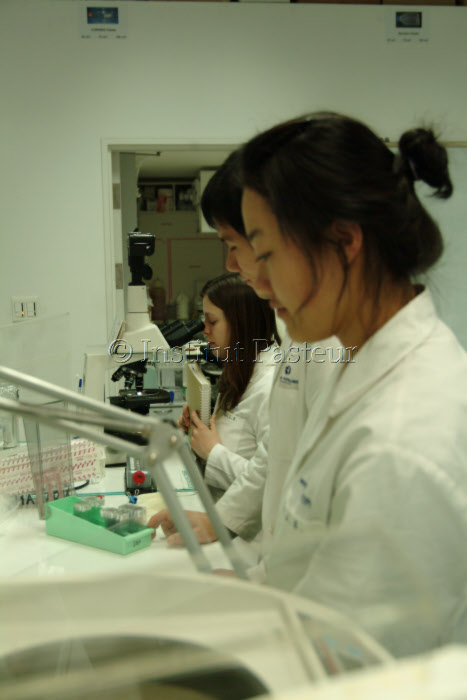 Laboratoire de recherche Institut Pasteur de Corée