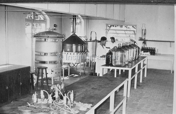 Laboratoire à l'Institut Pasteur de Nha Trang en 1950