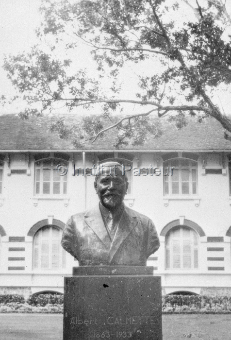 Buste d'Albert Calmette à l'Institut Pasteur de Saïgon