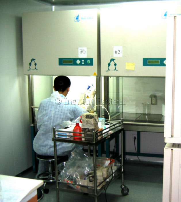 Laboratoire de sécurité de type P2 à l'Institut Pasteur de Shangaï en 2005.