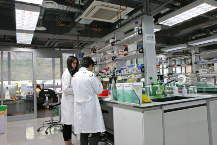 Laboratoire de recherche - Institut Pasteur de Corée