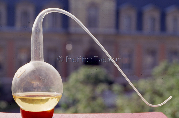 Ballon à col de cygne utilisé par Louis Pasteur