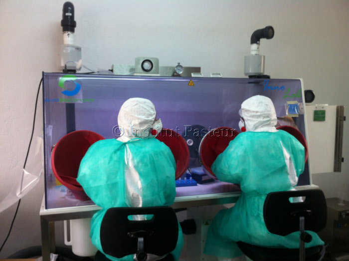 Crise Ebola 2014 : Laboratoire de diagnostic de haute technologie installé par l'Institut Pasteur au centre de traitement Ebola de Macenta, Guinée Forestière. 29 novembre 2014