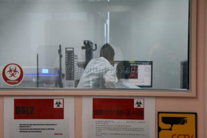 Institut Pasteur de Corée. Chercheurs dans un laboratoire de sécurité niveau 2 (BSL2)