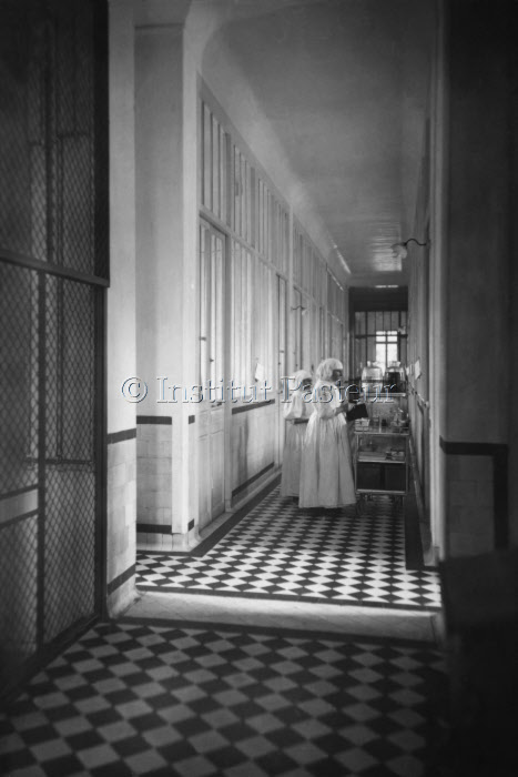 Les soins à l'hôpital de l'Institut Pasteur vers 1920