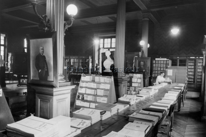 Bibliothèque de l'Institut Pasteur vers 1960