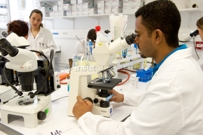 Travaux pratiques au cours de Mycologie médicale le 1er avril 2015.