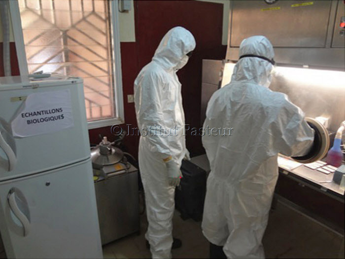 Etude des souches du virus Ebola circulant en Guinée en 2014 par des chercheurs de l'Institut Pasteur de Dakar.