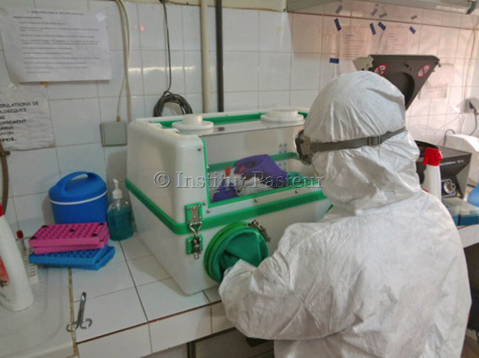 Etude des souches du virus Ebola circulant en Guinée en 2014 par des chercheurs de l'Institut Pasteur de Dakar
