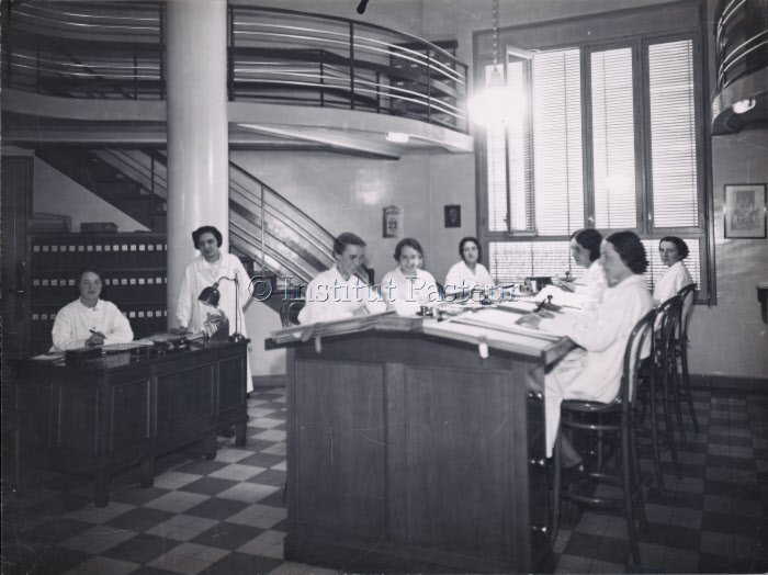 Salle du BCG, fichier et bibliothèque du BCG, années 30