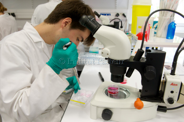 Travaux pratiques au cours « Advances in Stem Cell Biology » le 2 juillet 2015