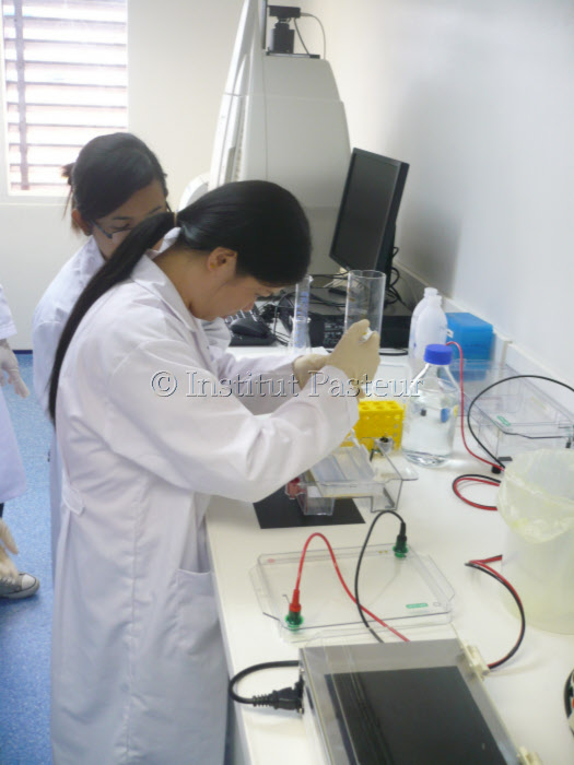 Institut Pasteur du Laos en 2012. Travail de laboratoire.