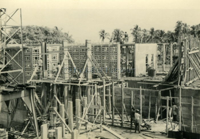 Chantier de construction de l'Institut Pasteur à Cayenne en 1954
