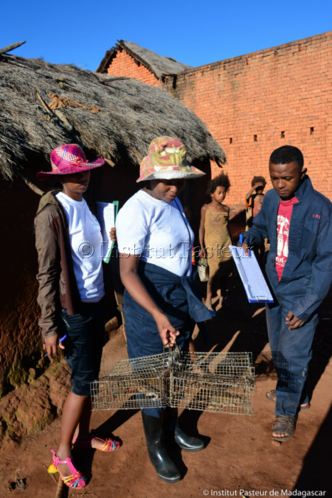 Lancement campagne de prévention contre la peste à Tsiroanomandidy, Madagascar le 31 mars 2016.
