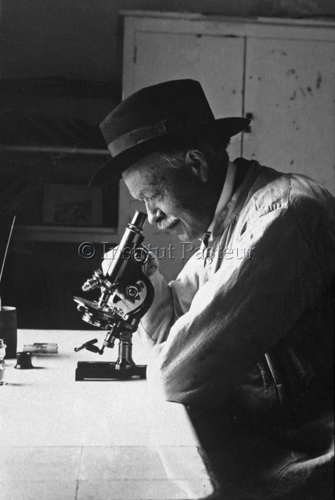 Charles Nicolle à son microscope à l'Institut Pasteur de Tunis en 1922