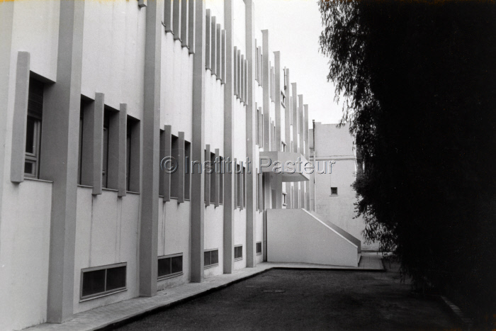 Bâtiment à l'Institut Pasteur de Tunis inauguré en 1981
