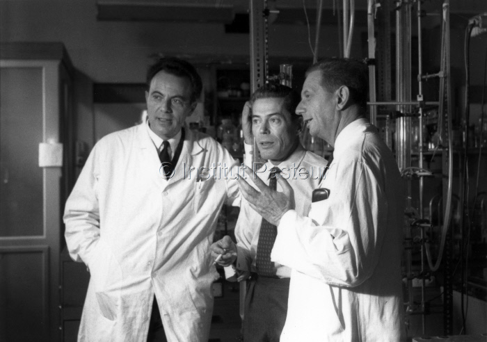 François Jacob, Jacques Monod, André Lwoff le jour de l'annonce du Prix Nobel le 14 octobre 1965