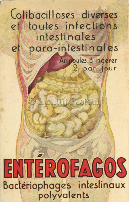 Publicité pour les ampoules de bactériophages "Entérofagos"