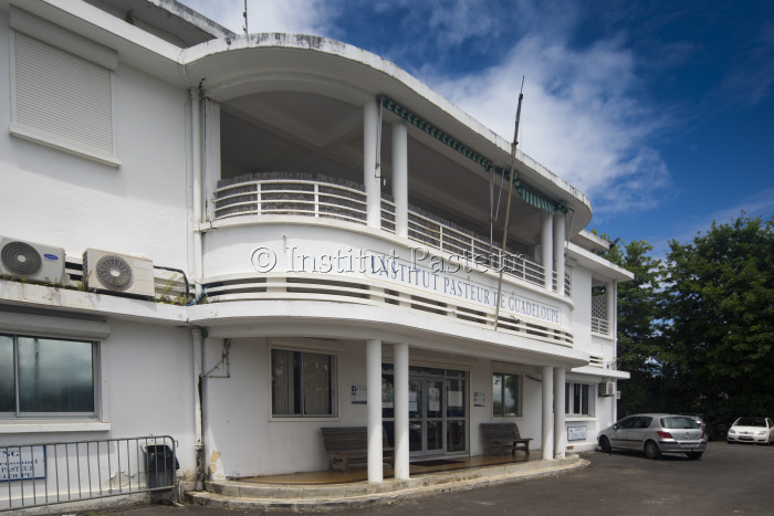 Institut Pasteur de la Guadeloupe - reportage mai 2019