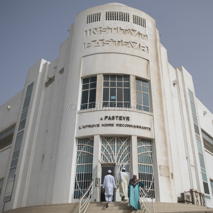 Reportage à l'Institut Pasteur de Dakar en juin 2019