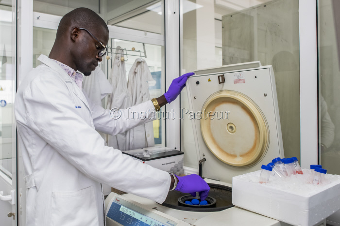Laboratoire à l'Institut Pasteur de Dakar en juin 2019