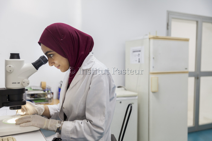 Reportage à Institut Pasteur du Maroc en juin 2019