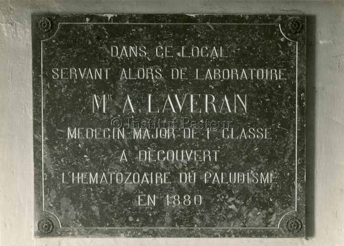 Plaque en hommage à Laveran