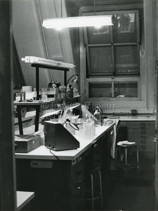 Laboratoire d'André Lwoff dans le "grenier" vers 1965.