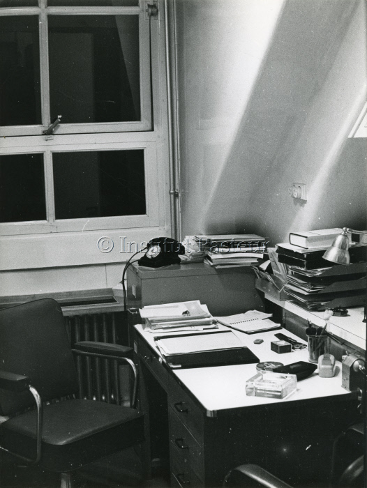 Bureau d'André Lwoff, dans le "grenier" vers 1965