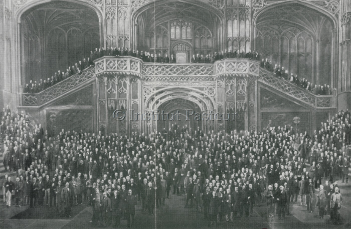 Congrés international de Médecine de Londres 1881