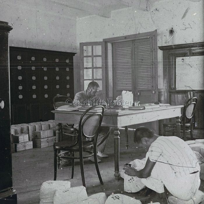 Alexandre Yersin à son bureau à Nha Trang vers 1910