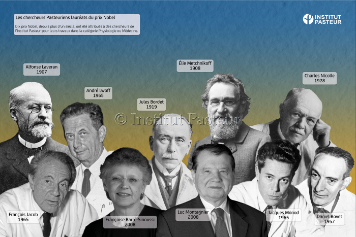 Les chercheurs Pasteuriens lauréats du prix Nobel.