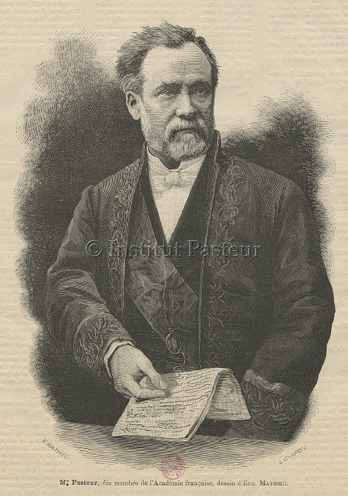« M. Pasteur, élu membre de l’Académie française...