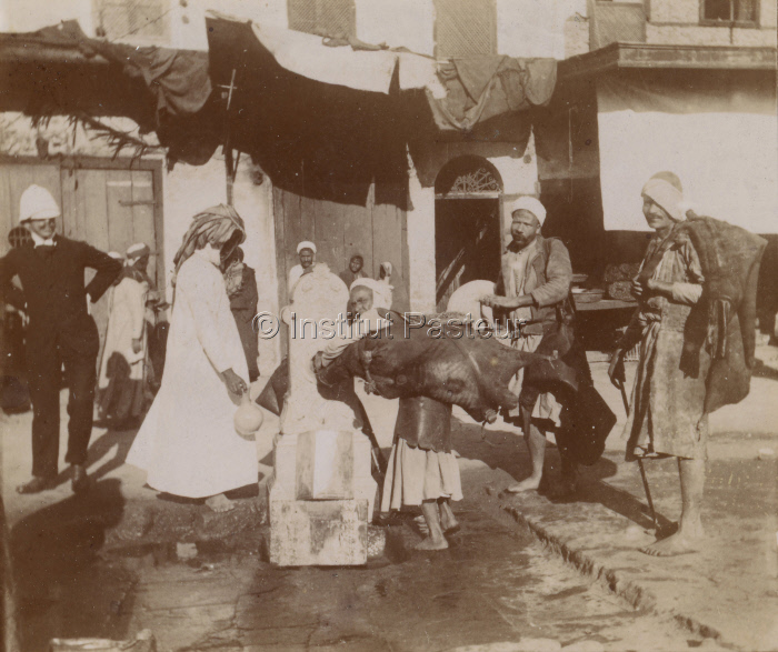 Porteurs d'eau à Suez, Egypte, janvier 1901.