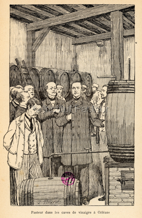Visite de Louis Pasteur dans les caves à vins d'Orléans vers 1862