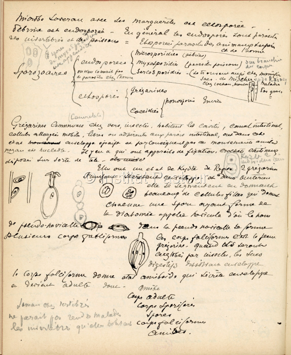 Page de notes d’Emile Roux 1891