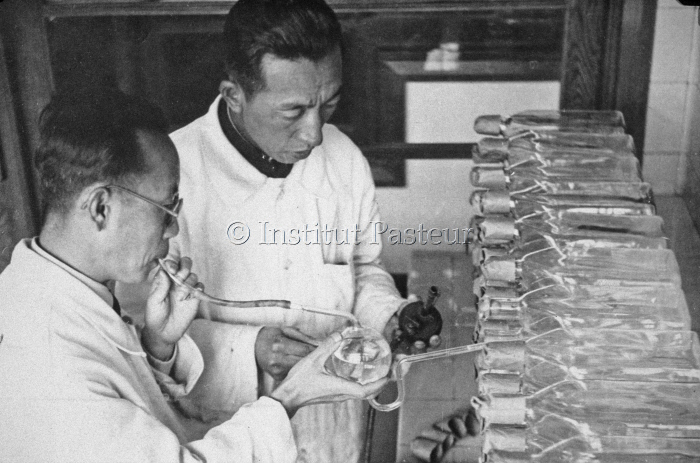 Service de préparation de vaccins à l'Institut Pasteur de Shanghai en 1947