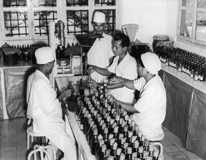 Fabrication du vaccin contre la peste bovine à l'Institut Pasteur de Phnom Penh en 1955.